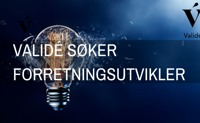 Forretningsutvikler illustrasjon