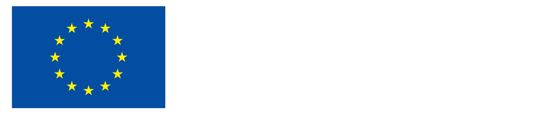 EN Co Funded by the EU NEG